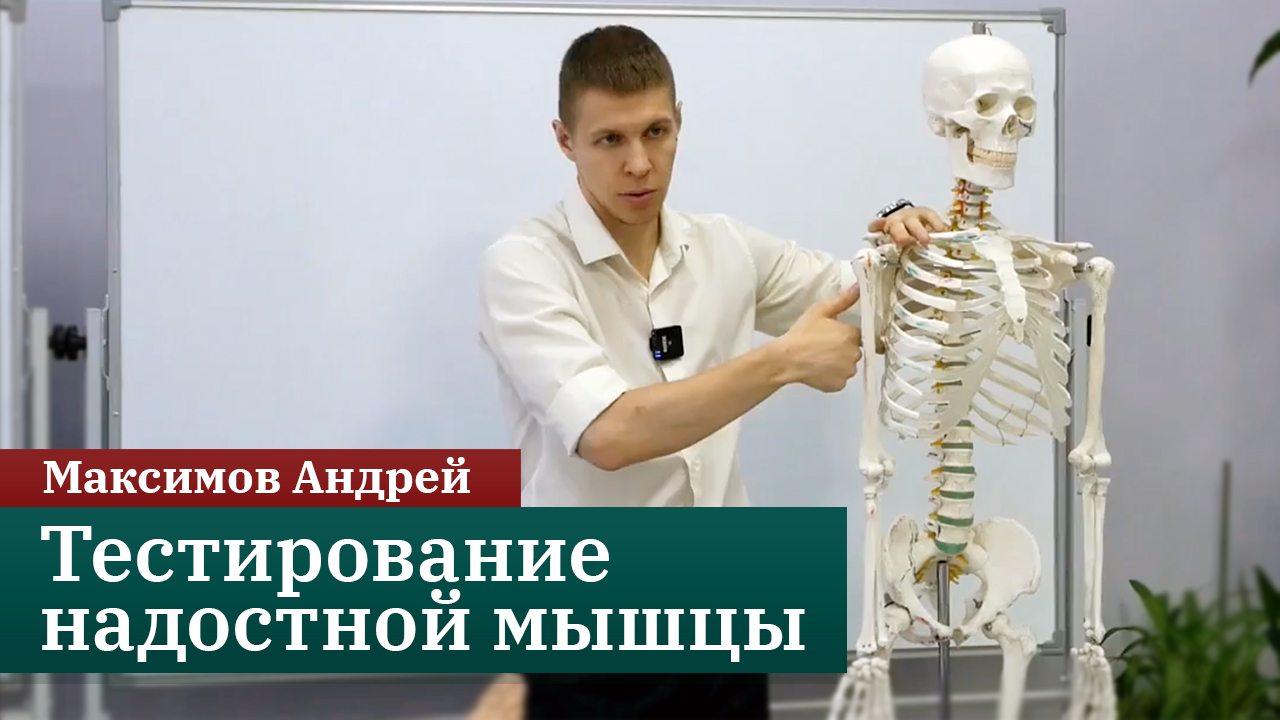 Тестирование надостной мышцы. Основы прикладной кинезиологии. Максимов Андрей смотреть онлайн
