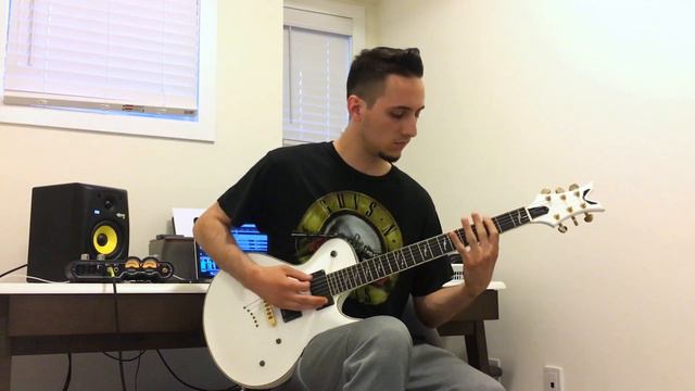 Slipknot | Solway Firth | Guitar Cover смотреть онлайн