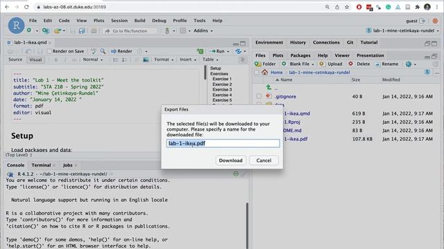 Exporting PDF out of RStudio container смотреть онлайн
