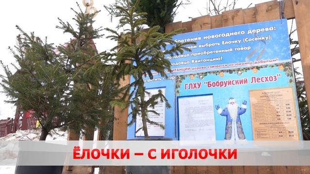 Запах хвои и иглицы смотреть онлайн