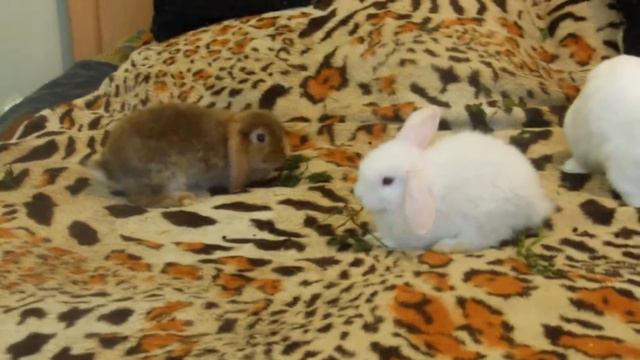 на прогулке смотреть онлайн