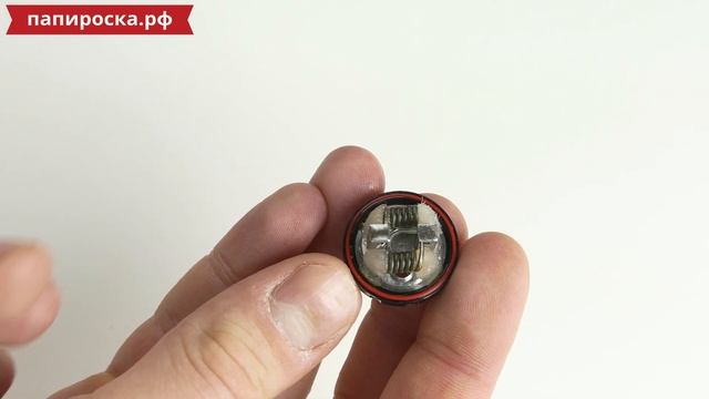 Arctic Dolphin Hector RTA | Цена решает ? смотреть онлайн