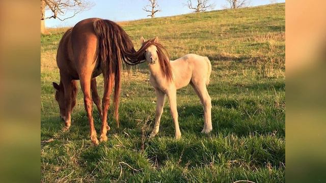 Фото, которые были сделаны в самый подходящий момент смотреть онлайн