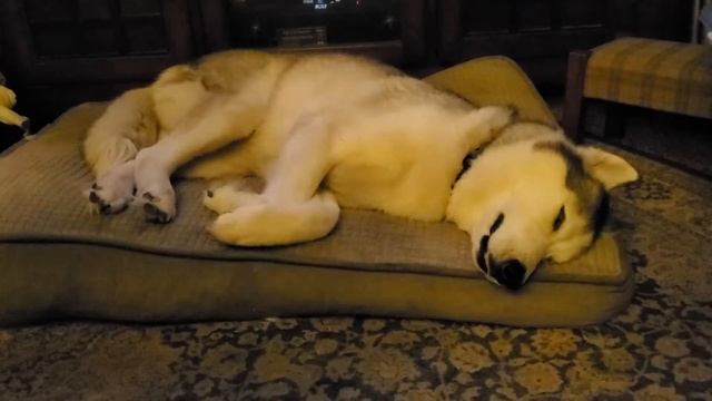 goof ball смотреть онлайн