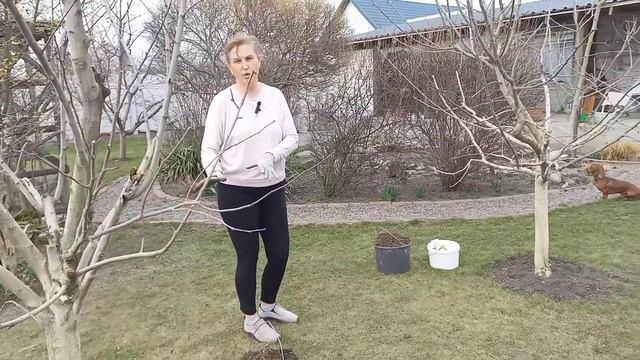 Обробка саду навесні#2🍒Захист від хвороб і шкідників#обробкадеревнавесні#обробкадереввідхвороб#сад