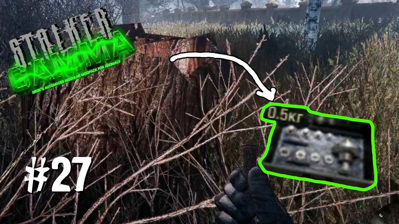 S.T.A.L.K.E.R. ANOMALY GAMMA ✪ ОДНА ЖИЗНЬ. ХАРДКОР ✪ #27 Инструменты для КАЛИБРОВКИ смотреть онлайн