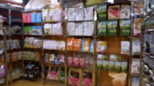The Dogfather - Pet Shop in Jaipur | Best Place for Your Furry Friend смотреть онлайн