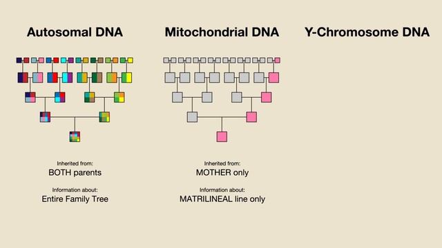 I Took 5 DNA Tests and Compared Them | Which One Is Best? смотреть онлайн