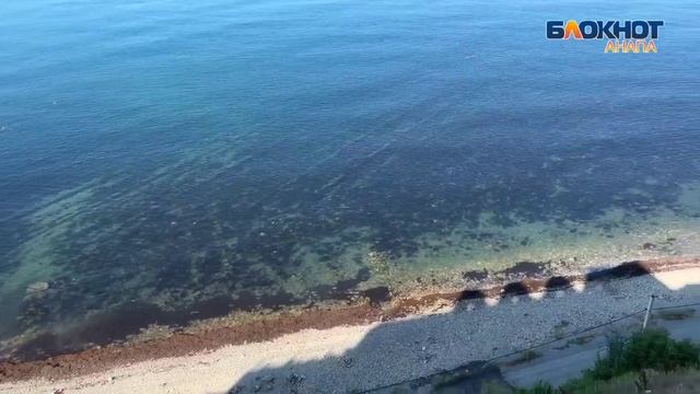 На пляж 40 лет Победы штормом принесло красные водоросли смотреть онлайн