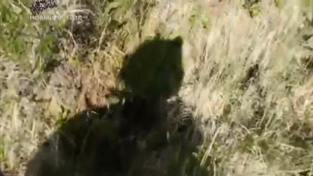 "Один на один с природой". Часть 2 - "Высадка в Юконе" смотреть онлайн