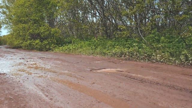 Морское послание смотреть онлайн