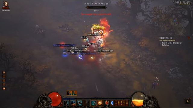 Diablo III Taking the pets for a walk in the park смотреть онлайн