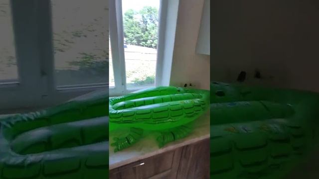 микро дом на печи,электрощит в доме и крокодил на кухне смотреть онлайн