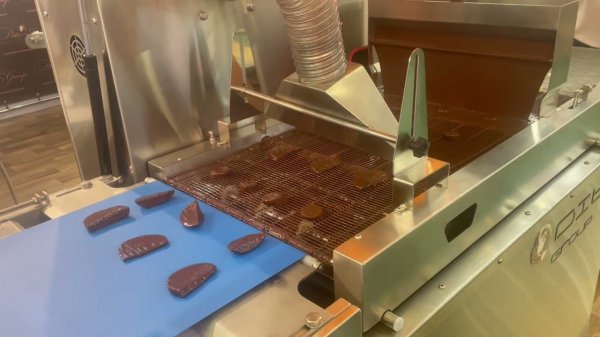 Фрукты в шоколаде на глазировочной линии от компании DitoGroup.