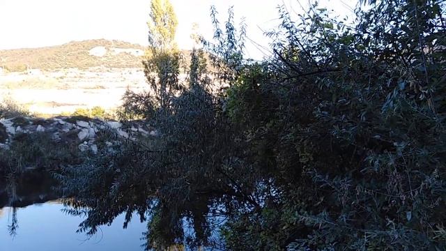 Маленький пруд