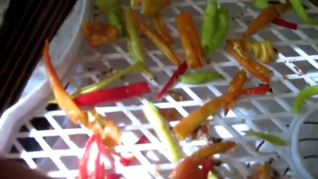 ПРОСТОЙ СПОСОБ СУШКИ ПЕРЦА смотреть онлайн