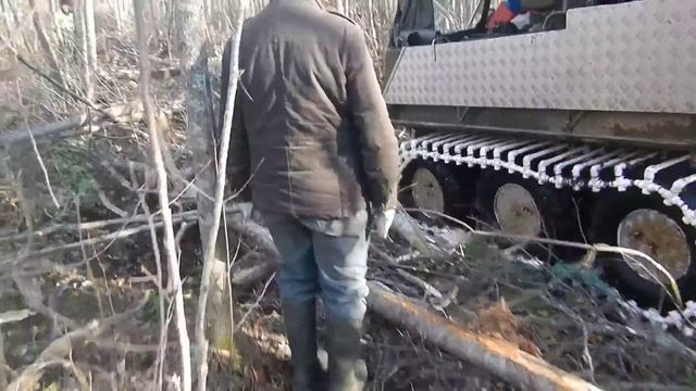по деревьям на полипропилене смотреть онлайн