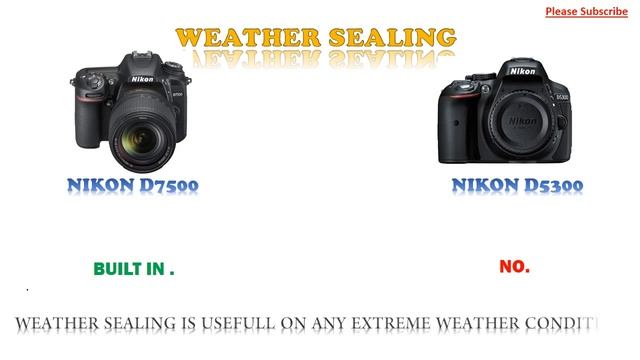 Nikon D7500 vs Nikon D5300 смотреть онлайн