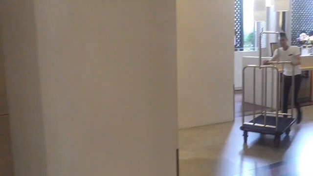 Краткий обзор отеля Pullman