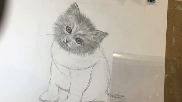 Как нарисовать кота карандашом. How to Draw a Kitten смотреть онлайн