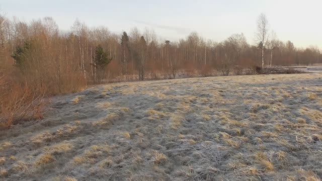 Проект из квартиры в свой дом. Покупка участка. Ура! Можно строить! смотреть онлайн