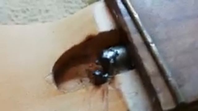 Анкерные гайки Jolana, ремонт анкера смотреть онлайн