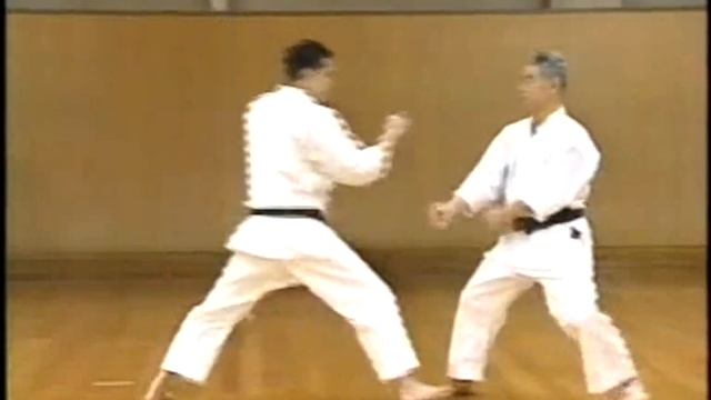 Вадо-рю каратэ.Wado ryu Karate.Кихон кумитэ 1 смотреть онлайн