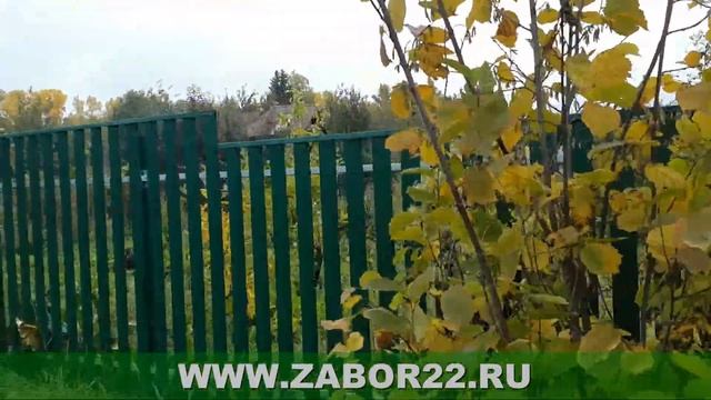 Забор из металлического штакетника (евроштакетника) эконом вариант