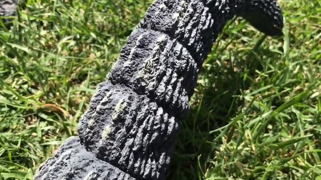 SHIN GODZILLA VS GODZILLA 1962 (Short Film) смотреть онлайн