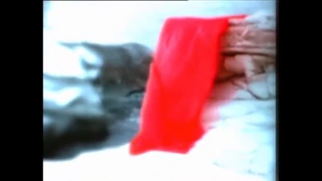 Этот парень был из тех, кто просто любит жизнь смотреть онлайн