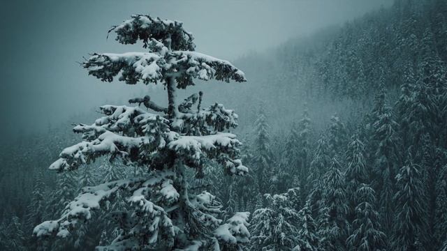 AUSTRIA IN WINTER - Winter Paradise (4K) смотреть онлайн