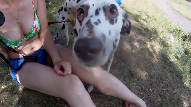 Лиска с собакой на Роллере