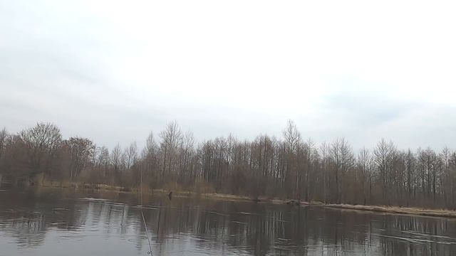 Рыболовное Лого