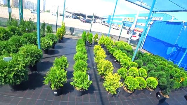 Купили большую ЛОДКУ для отдыха и рыбалки Неприятная процедура для нашего КОТЁНКА Влог смотреть онлайн