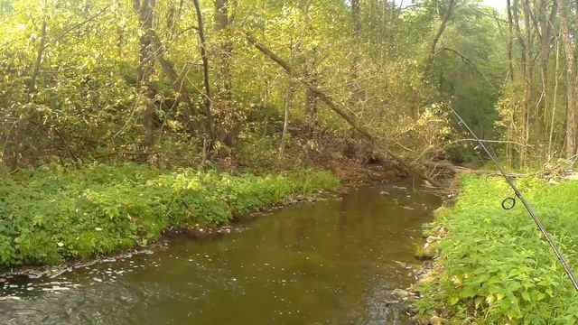 Мормышинг на реке, пруду, сливе и ручье. Или Гольян синявка) смотреть онлайн