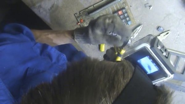 ЗОЛОТА НЕТ СССР Пустой калькулятор GOLD IS NOT THE USSR