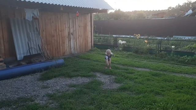 ЕРМАКОВСКОЕ ВСТРЕЧАЕТ НАС✌ смотреть онлайн