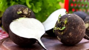 Полезные свойства ЧЕРНОЙ РЕДЬКИ. и противопоказания.