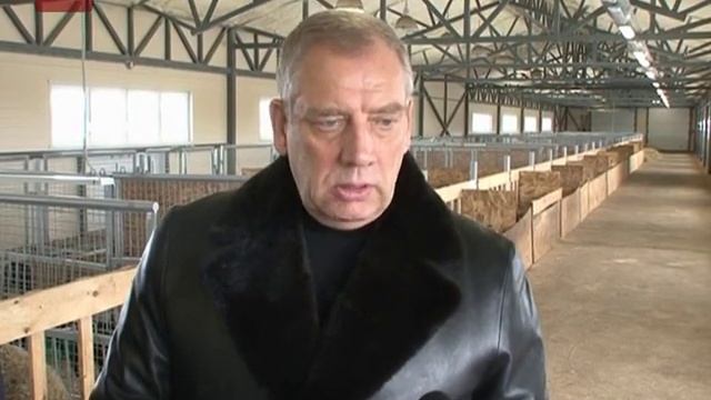 Овцеводческая ферма в Старорусском районе смотреть онлайн