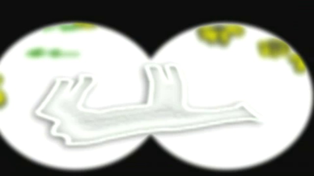 Бемби против Годзиллы. Часть 4 смотреть онлайн