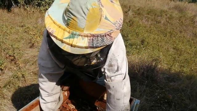 Профессиональный пчеловод даёт совет начинающему 🐝 смотреть онлайн