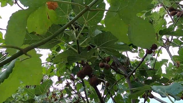 Алушта 08 08 21г. СТАРЫЙ ГОРОД/По ул. Свердлова - В. Хромых/ХРАМ/ЛЕСТНИЦА НИНЫ/Кафе/Цены/Жилье/Крым