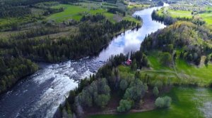 Породы собак по знаку Зодиака