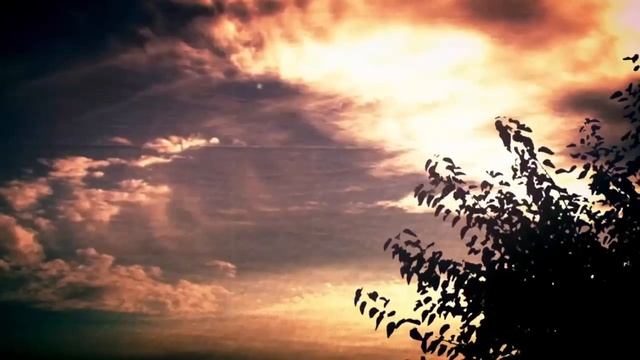 Видео фон "Облака и листья" смотреть онлайн