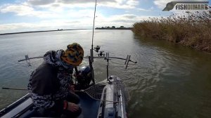 Успешная поисковая рыбалка судак, сазан. Вышка, Банк Бахтемир. 02 ноября 2022