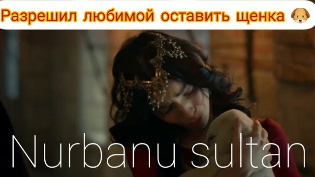 Селим разрешил Нурбану оставить щенка . великолепный век. смотреть онлайн