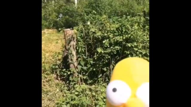#Delaydoh смотреть онлайн