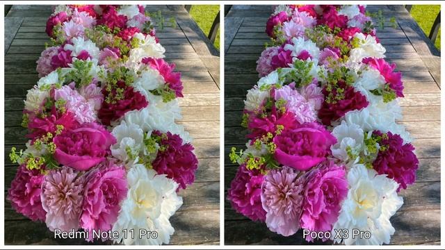 Redmi Note 11 Pro VS Poco X3 Pro | Camera Test & Comparison смотреть онлайн