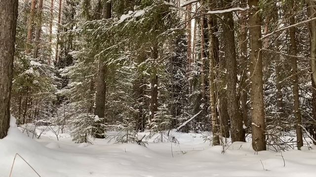 Мир мобильного шопинга