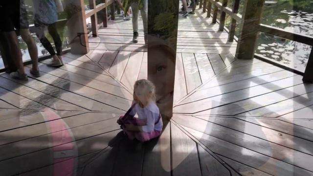 Ogród Japoński we Wrocławiu смотреть онлайн